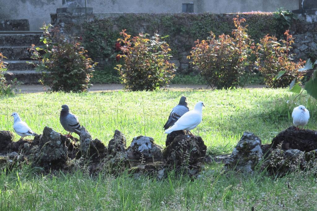 La Blanchisserie Bed & Breakfast Le Puy-Saint-Bonnet Luaran gambar